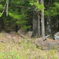 LandFix - 10