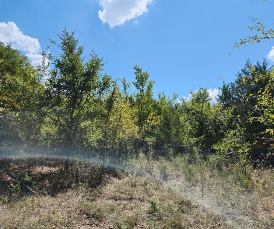LandFix - 4
