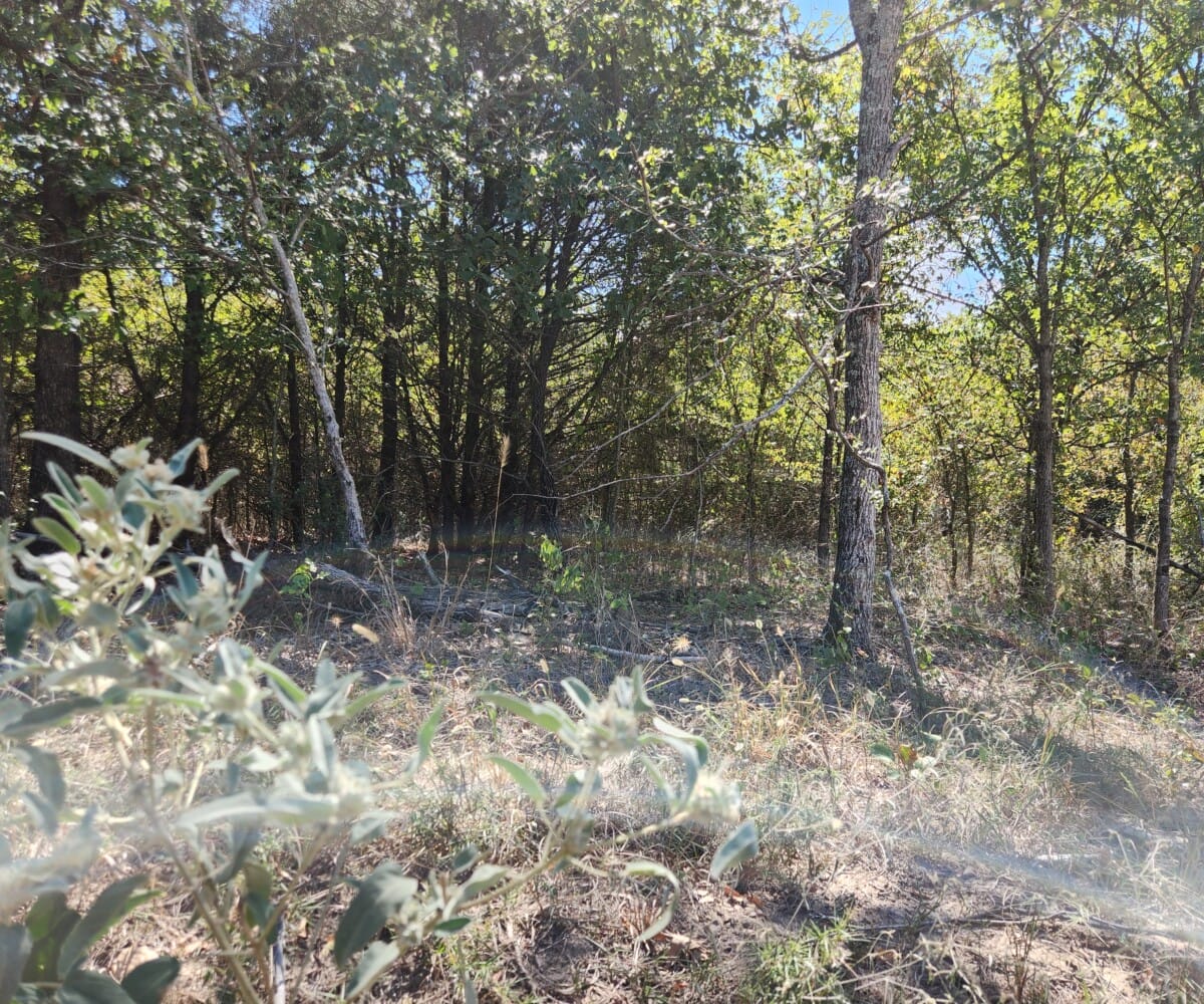 Lot #44 (7.8 ac) - Image 3
