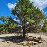 LandFix - 15