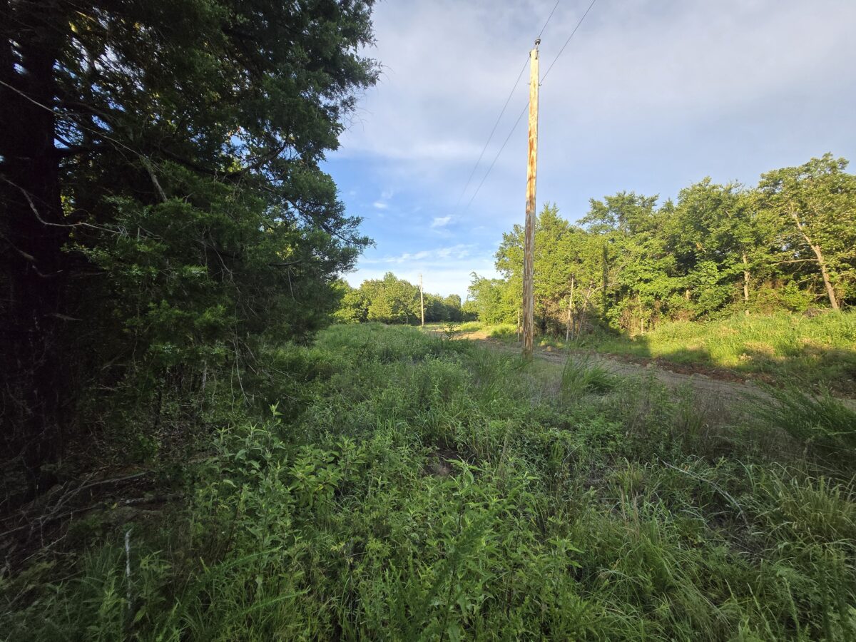 Lot #51B (1.5 ac) - Image 7