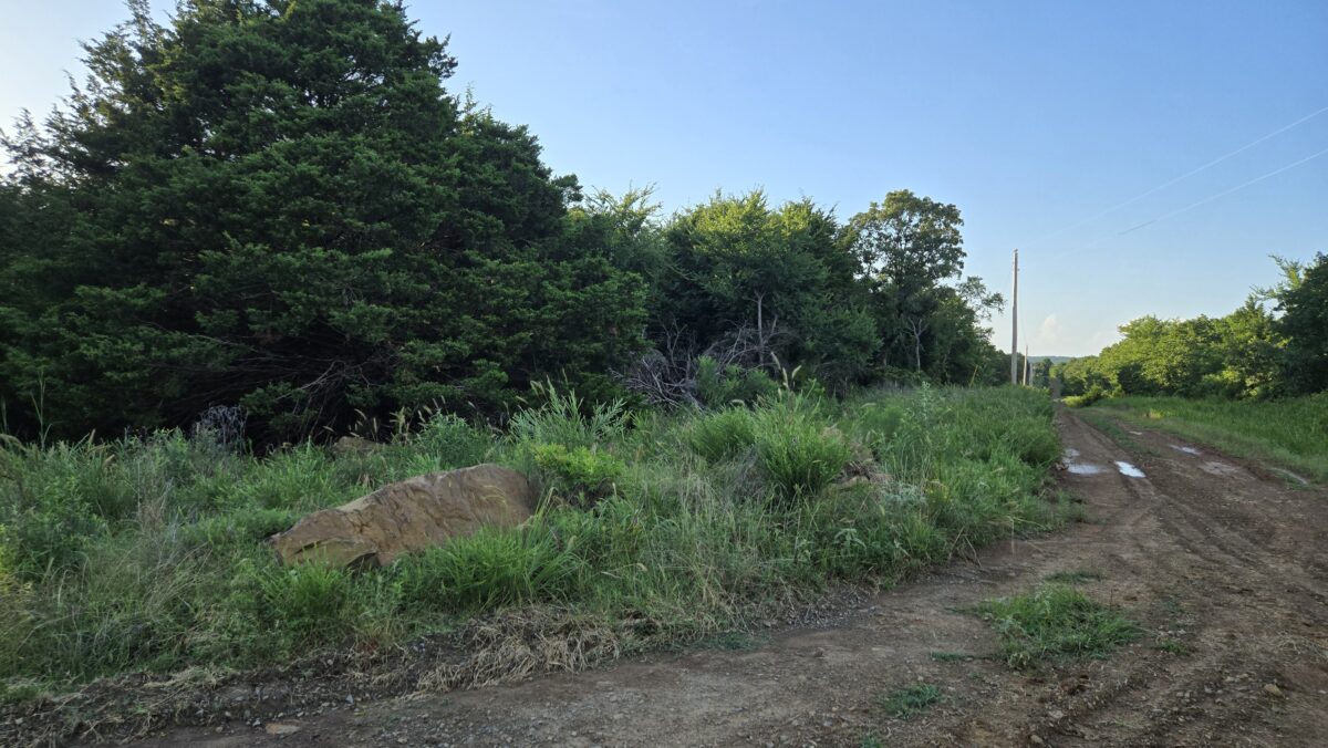 Lot #51B (1.5 ac) - Image 3
