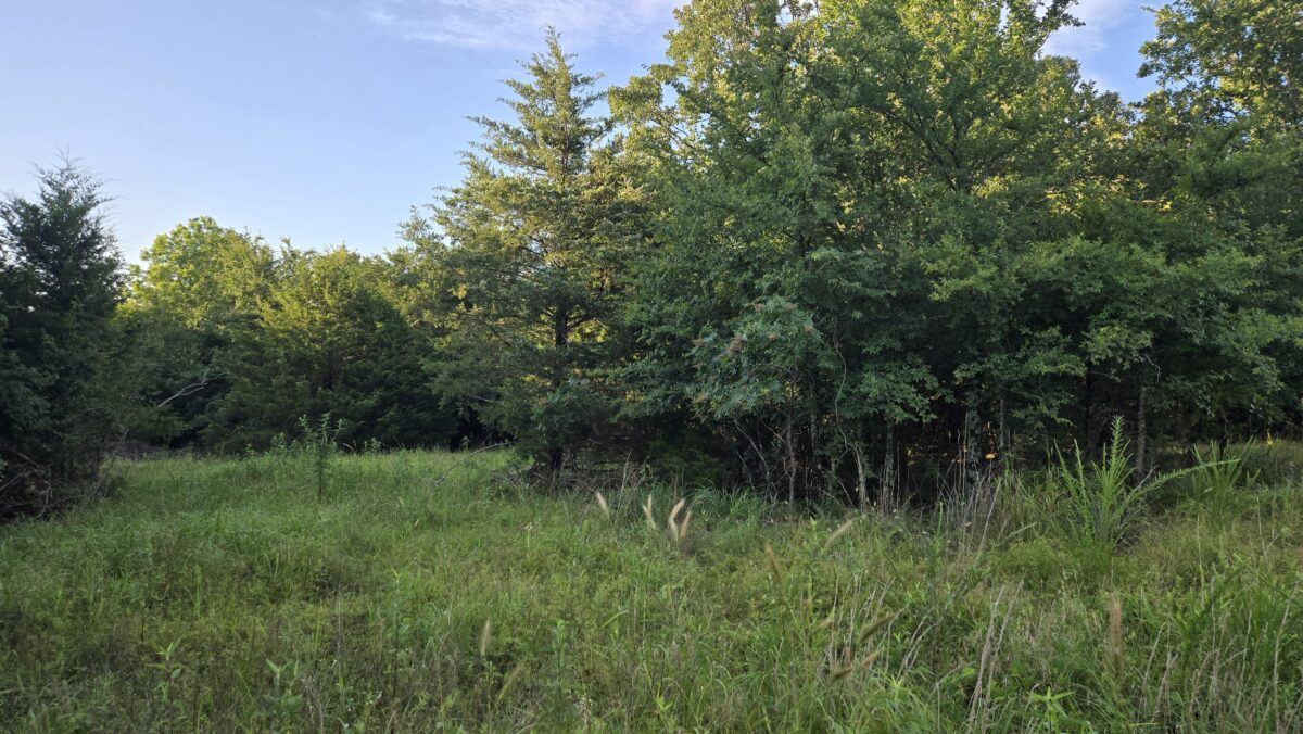 Lot #51B (1.5 ac) - Image 4