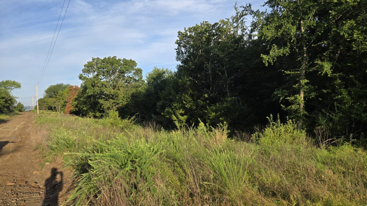 Lot #51A (1.5 ac) - Image 3