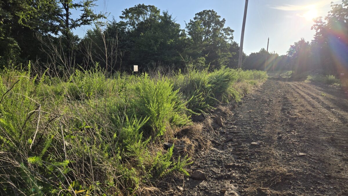 Lot #51A (1.5 ac) - Image 2