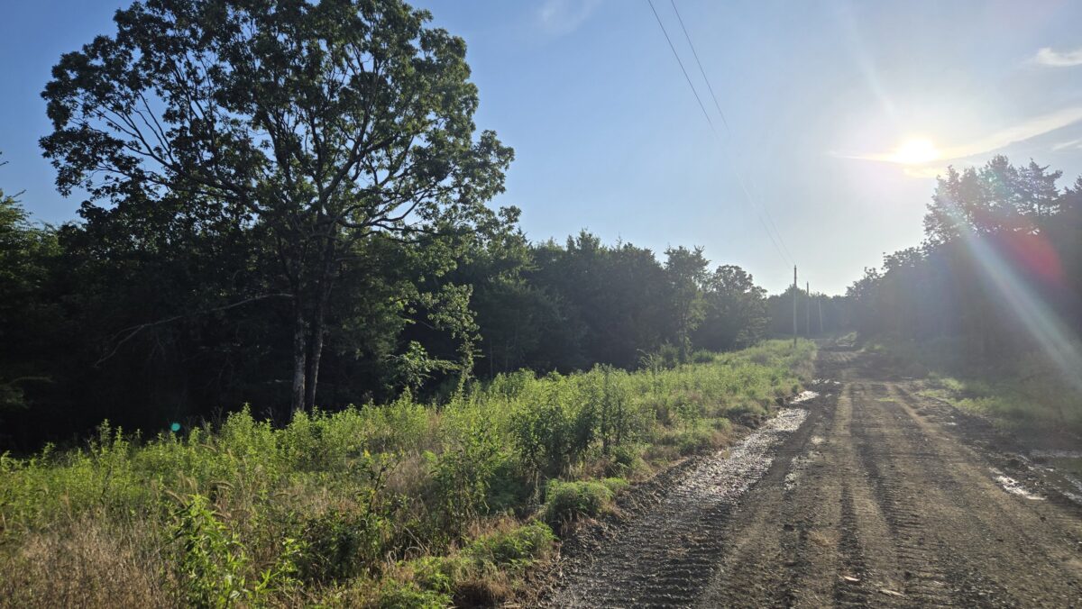 Lot #50D (1.5 ac) - Image 4