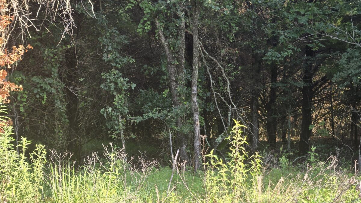 Lot #50D (1.5 ac) - Image 2