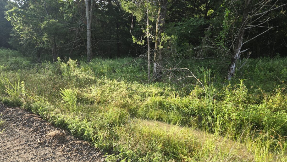 Lot #42A (2 ac) - Image 3