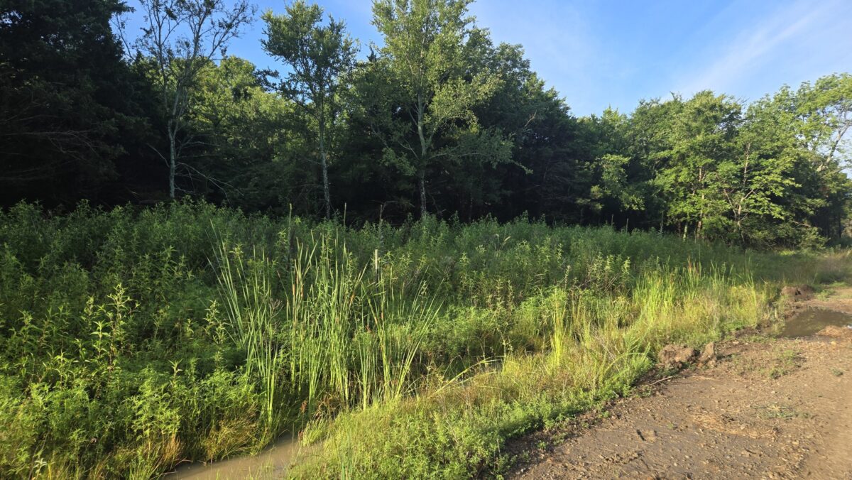 Lot #42A (2 ac) - Image 5