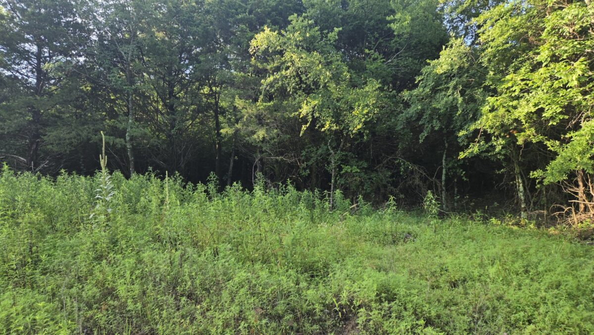 Lot #42A (2 ac) - Image 2