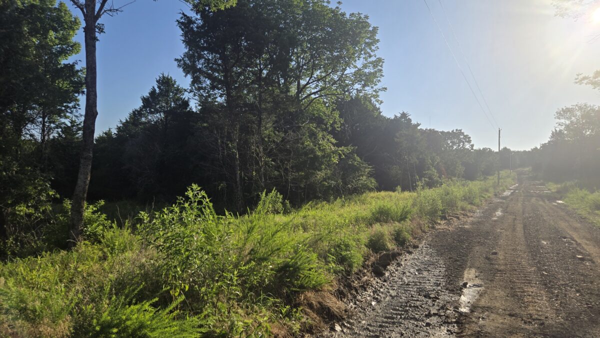 Lot #50B (1 ac) - Image 3