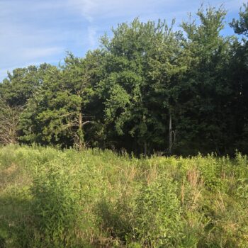 Lot #50B (1 ac)