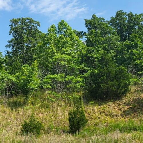 LandFix - 7