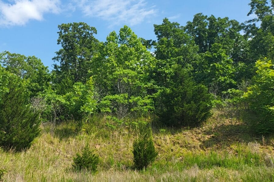 LandFix - 1