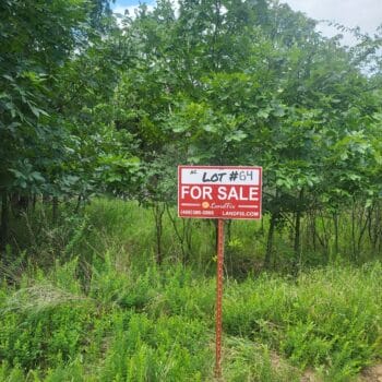 Lot #64 (12.73 ac)
