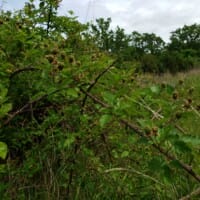 LandFix - 6