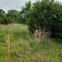 LandFix - 7