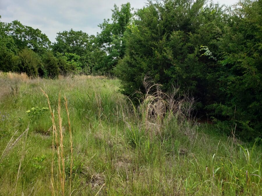 LandFix - 3