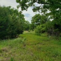 LandFix - 8