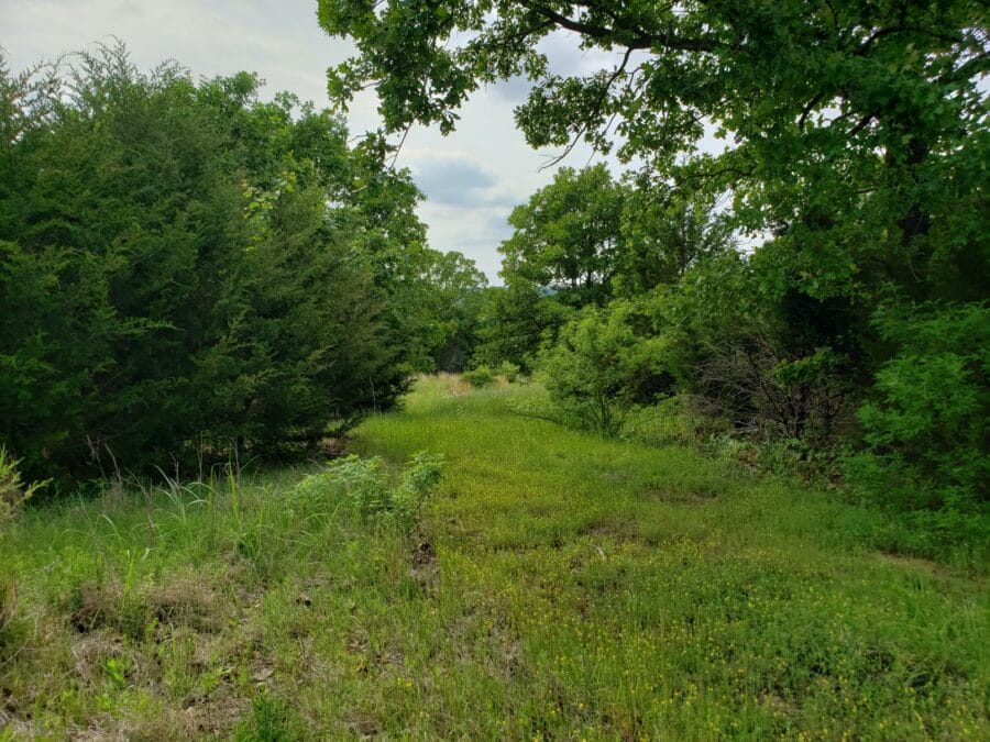 LandFix - 4