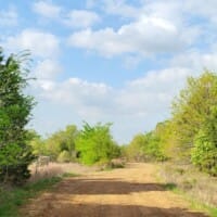 LandFix - 10
