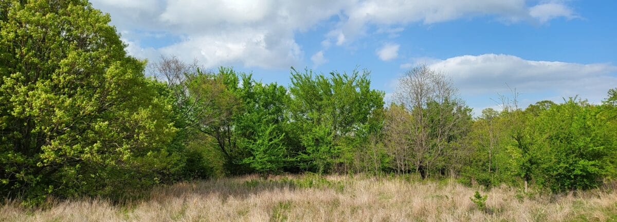 Lot #23 (5.88 ac) - Image 11