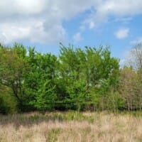 LandFix - 11