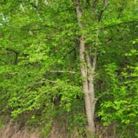 LandFix - 12