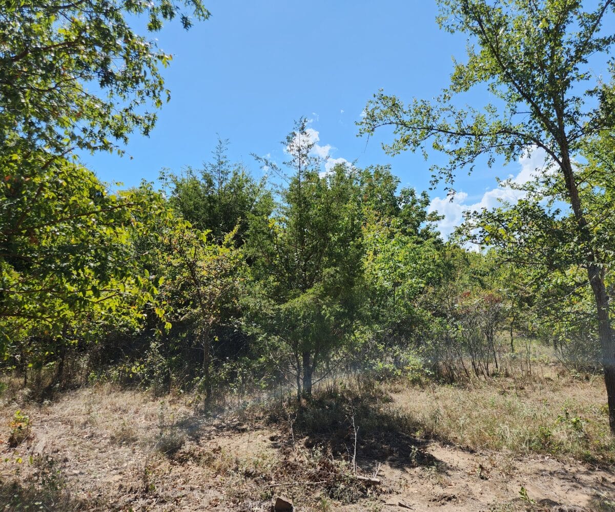 Lot #45 (11.38 ac) - Image 6