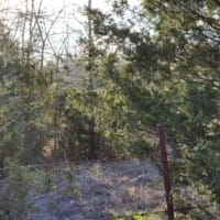 LandFix - 4