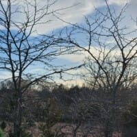 LandFix - 3