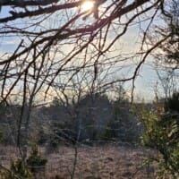LandFix - 2
