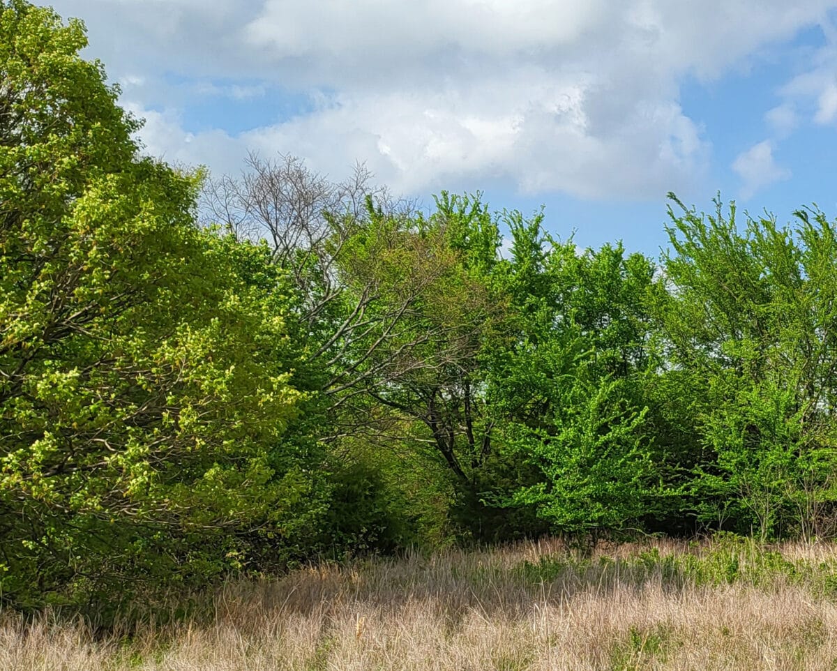 Lot #5 (0.84 ac) - Image 2