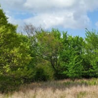 LandFix - 12