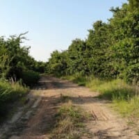 LandFix - 8