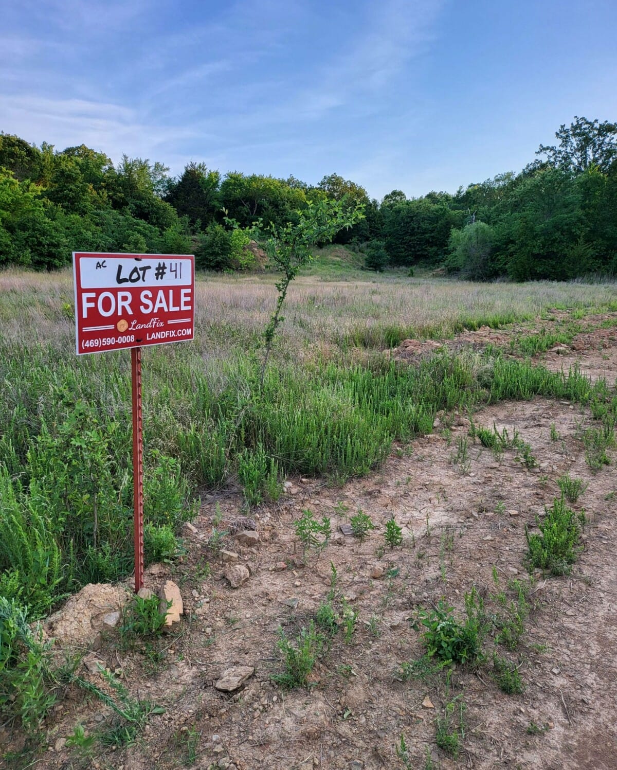 Lot #41 (9.21 ac)