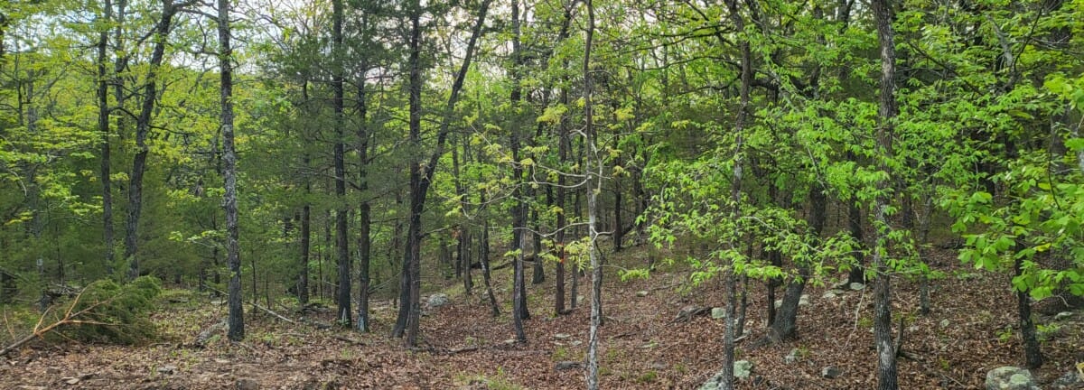 Lot #83 (11.39 ac) - Image 3
