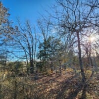 LandFix - 4