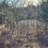 LandFix - 5