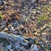 LandFix - 2