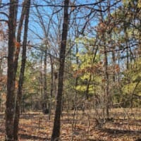 LandFix - 6
