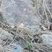 LandFix - 5