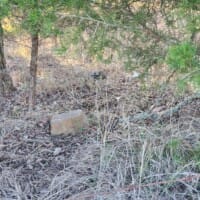 LandFix - 4