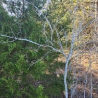 LandFix - 3