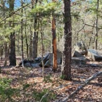 LandFix - 4