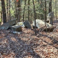 LandFix - 6