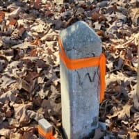 LandFix - 7