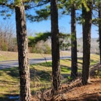 LandFix - 4