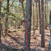 LandFix - 7