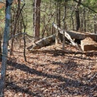 LandFix - 8